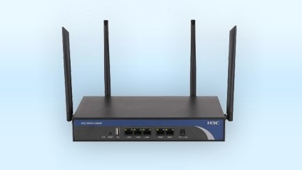 ERG2-1200W ERG2-1200W-深圳華思特